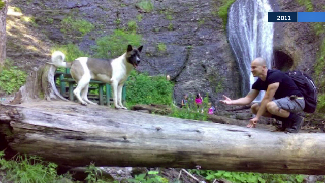 Decizie fara precedent luata de o instanta din Romania. Pedeapsa primita de doi barbati care au ucis cu sadism patru caini