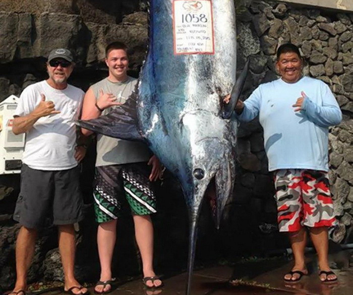 Un tanar din SUA a prins un peste monstru de 479 de kilograme. Cum arata pestele sabie