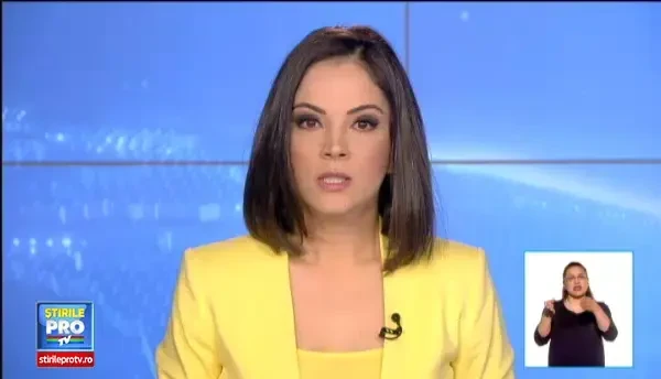 Elena Udrea: Cei prinsi ca au luat spaga, este suficient ca au dat-o mai departe si sunt bine mersi