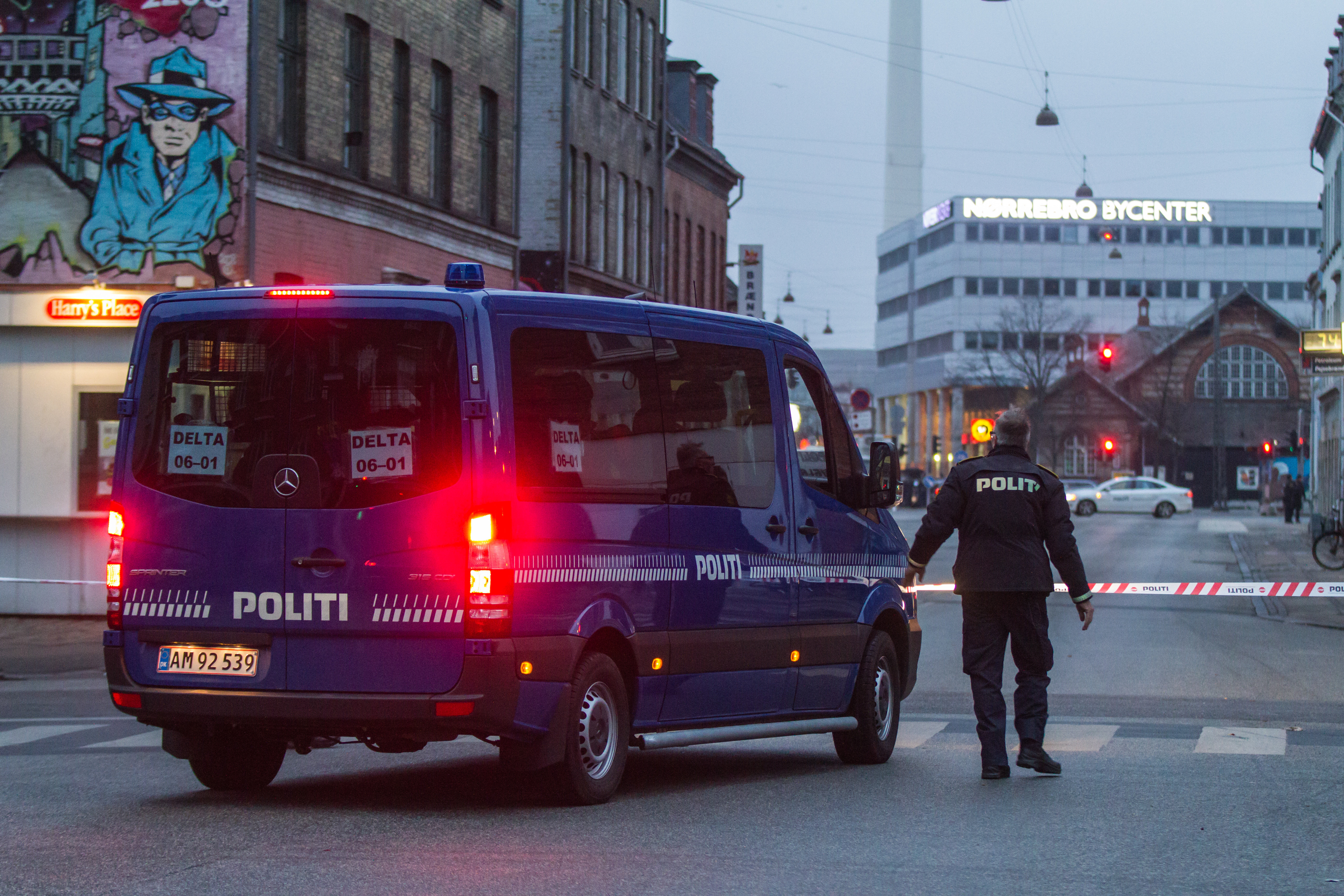 Autoritatile din Danemarca au retinut peste 20 de romani. Infractiunile pe care acestia le-ar fi comis
