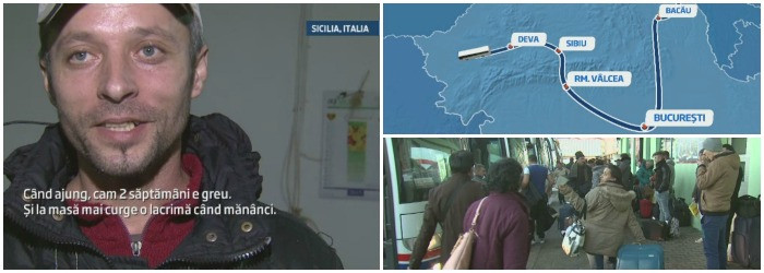 "Cand ma asez la masa, incep sa plang". Povestea romanilor care simt ca sunt doar masini de munca in fermele din Sicilia