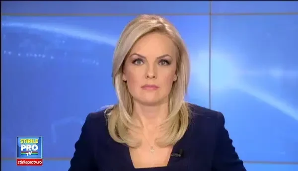 Confruntare in dosarul Microsoft. Gheorghe Stefan a recunoscut acuzatiile din dosar: spalare de bani si trafic de influenta