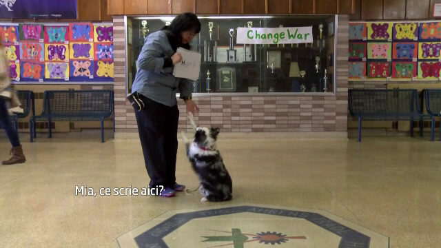 O femeie din SUA sustine ca si-a invatat cainele sa citeasca. Demonstratia pe care a facut-o intr-o scoala