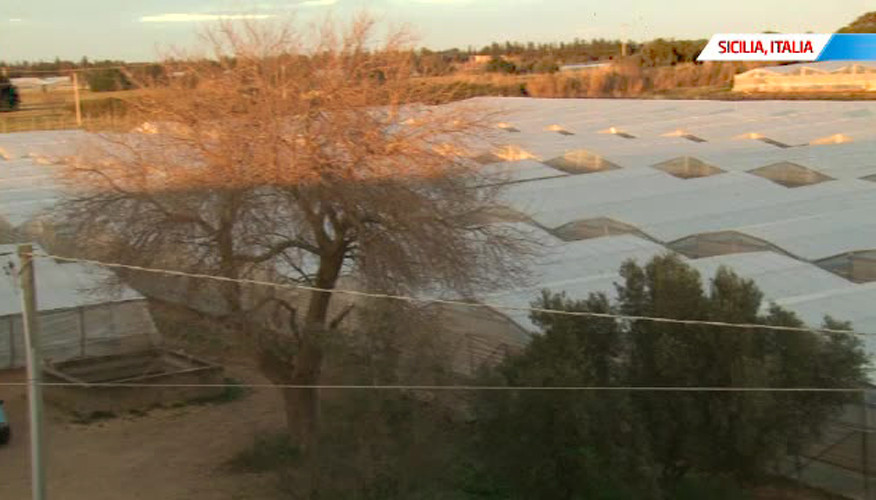 Romanii, prizonieri in insula serelor. Au venit sa-si faca o viata mai buna, dar au ajuns sa traiasca de pe o zi pe alta