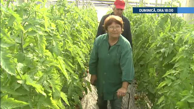 Duminica la "Romania, te iubesc!". Povestile de succes ale romanilor din Sicilia: "Am investit 25.000 euro. Profitul? 50.000"