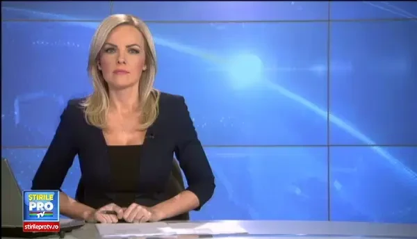 Denunturile facute Topoliceanu si Breazu impotriva Elenei Udrea. Primea mita acasa. Banii erau ascunsi in pungi sau genti