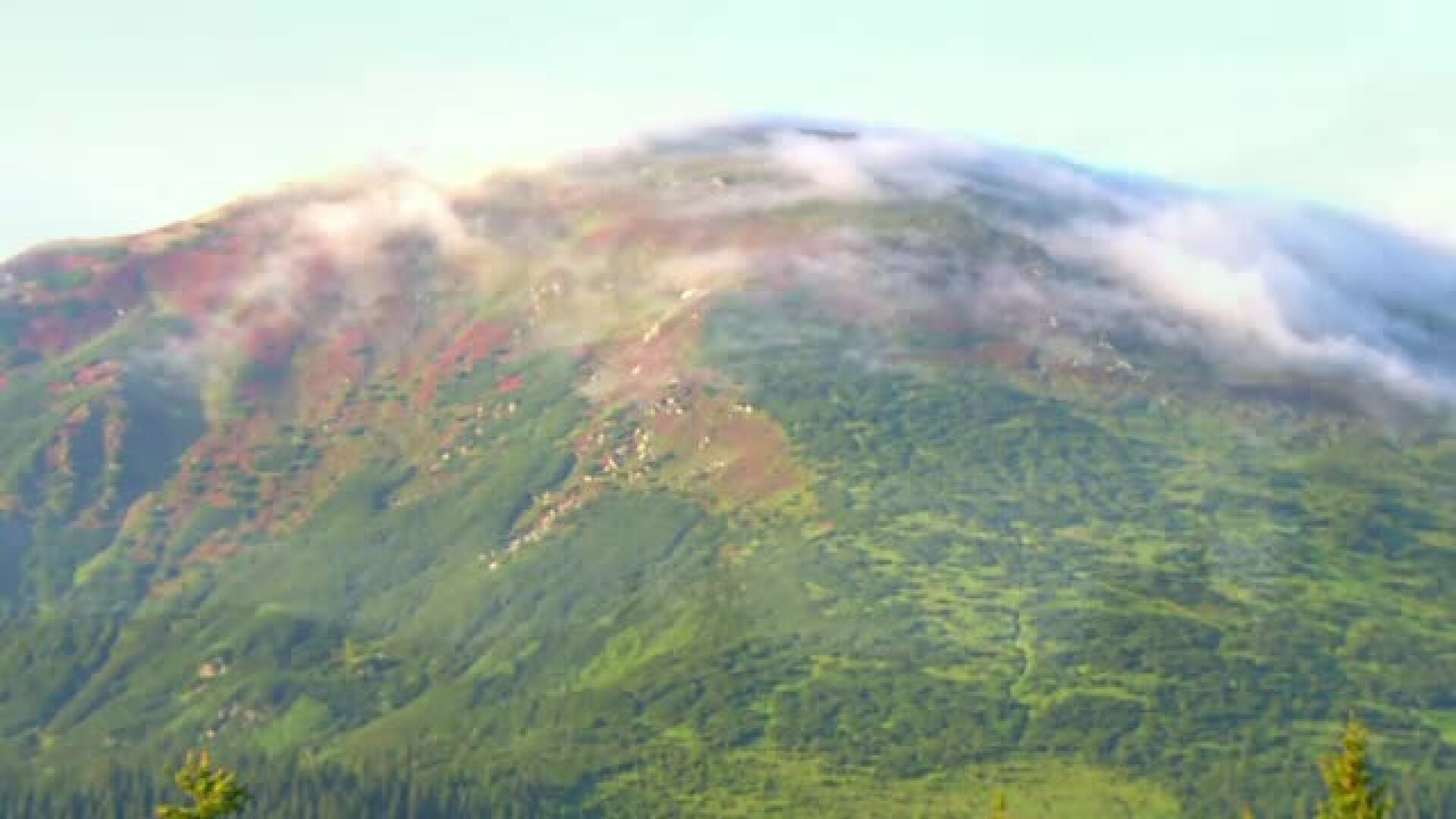 Cei care ajung aici au impresia ca au nimerit in Paradis. Situl Frumoasa din muntii Parang atrage mii de turisti anual