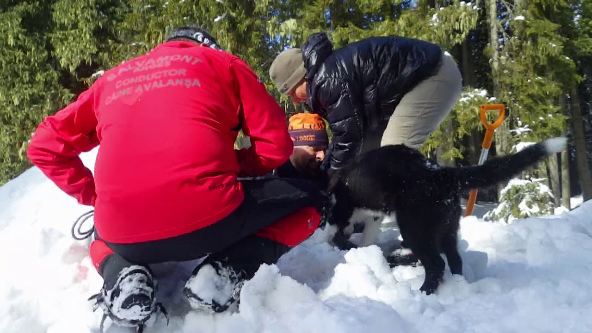 Prima scoala canina de interventie se deschide la Padina. Salvamontistii vor antrena cainii sa fie eroi