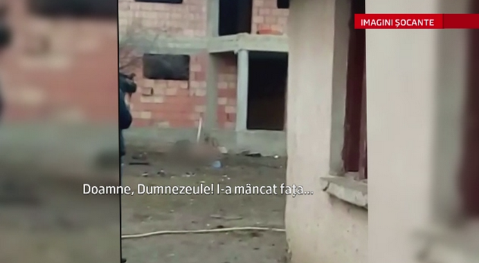 Scene de groaza in Drobeta Turnu Severin. O femeie a fost sfasiata de un pitbull, care i-a mutilat chipul