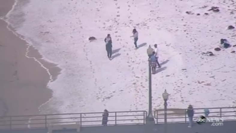 Fenomen extrem de rar in sudul Californiei. Plajele au fost acoperite cu un strat gros de grindina si zapada