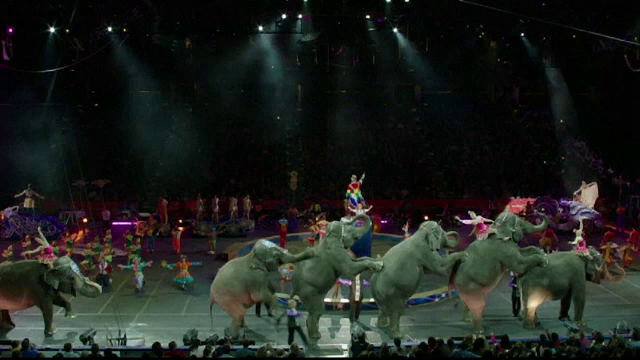 Decizie istorica a unuia dintre cele mai mari circuri din lume. Motivul pentru care nu vor mai folosi elefanti in spectacole