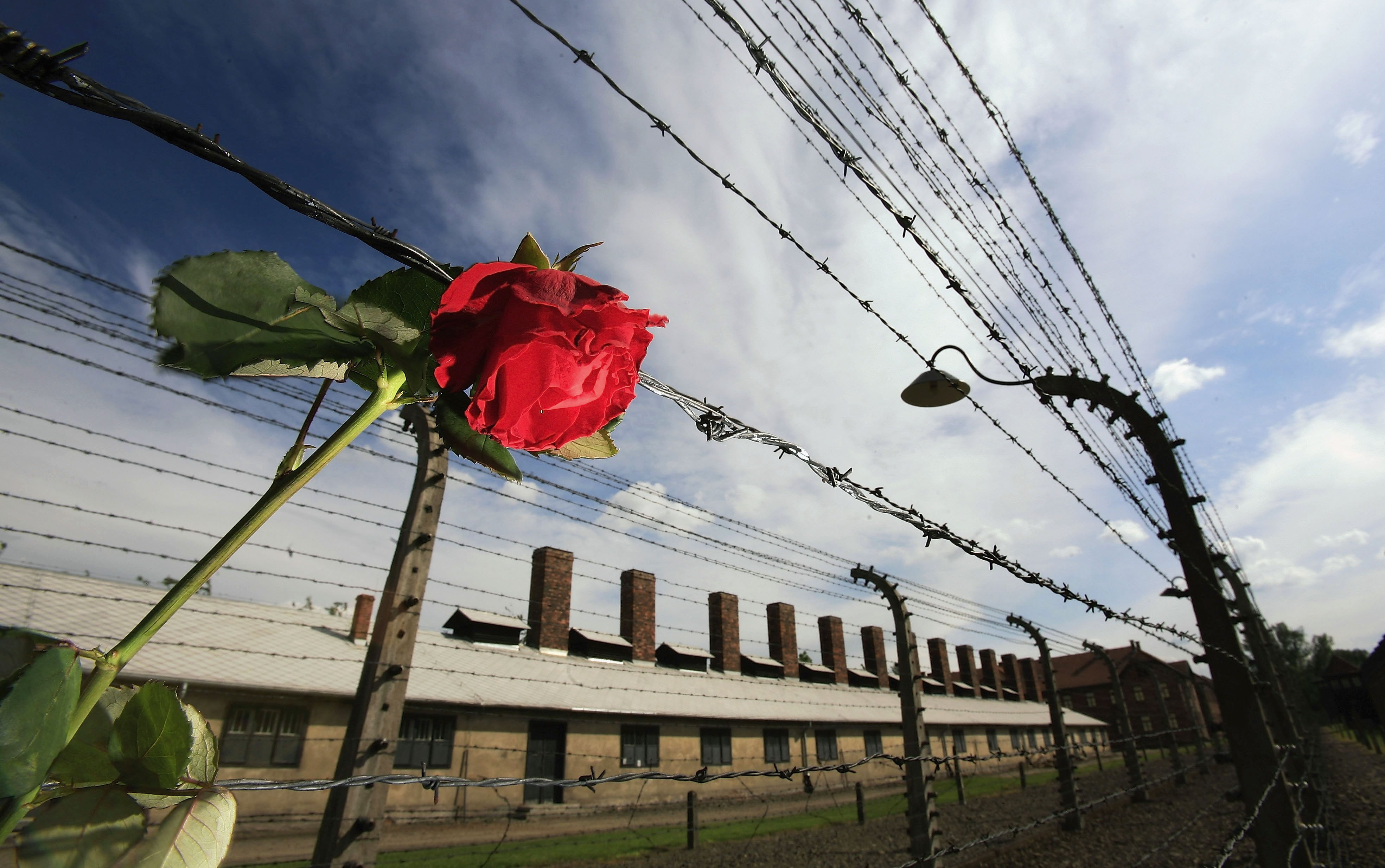 Iubirea pentru familie l-a ajutat sa supravietuiasca Holocaustului. Povestea de OSCAR descoperita dupa 66 de ani