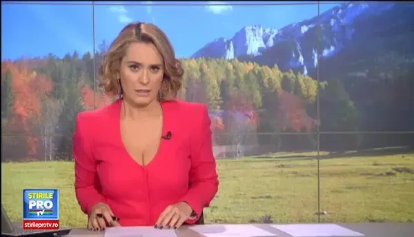 Politistii au anihilat o retea de braconieri din Galati. Membrii antrenau caini pitbull pentru vanatoarea de mistreti