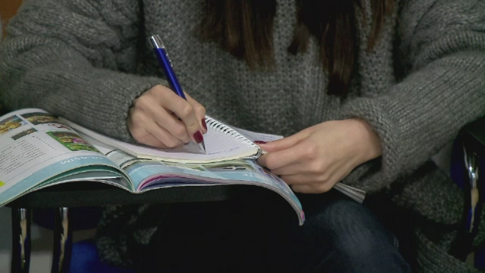 Serialele turcesti i-au cucerit pe romani. Cu cat a crescut numarul celor care s-au inscris la cursuri de limba turca