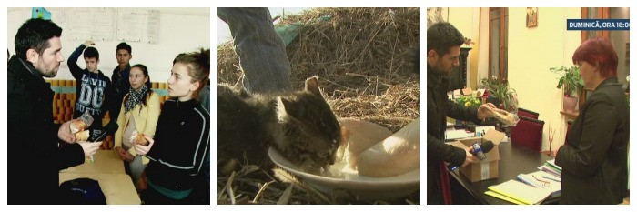 Esecul programului "Cornul si laptele". Cum se irosesc 100 de mil. de euro pe an, duminica, la "Romania, te iubesc!"