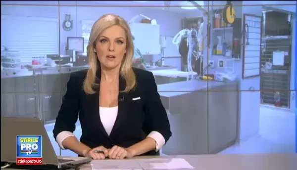 Solutia gasita in Bacau pentru cainii strazii. Campania gratuita lansata de voluntari si autoritatile locale