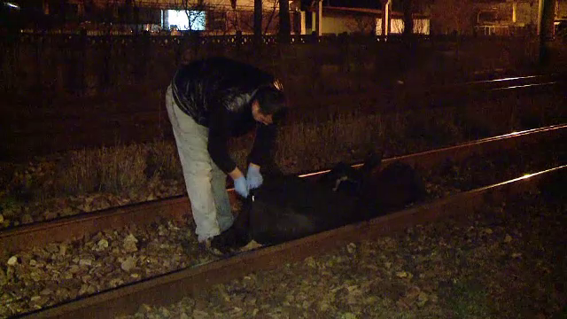 Coincidenta sinistra la Iasi, unde doi barbati au murit loviti de tren in aceeasi zona. Primele date din ancheta