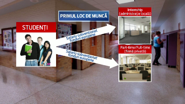 Guvernul va lansa in aprilie programul "Primul loc de munca". Tinerii someri ar urma sa aiba salariul minim pe economie