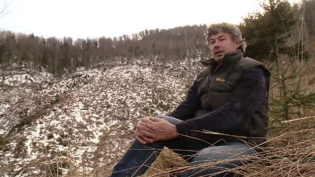 Proiectul cu care o fundatie vrea sa salveze padurile de la defrisare. Suma uriasa platita pentru Parcul Piatra Craiului