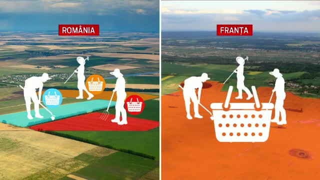 Un nou proiect de lege scoate la iveala o mare problema. De ce nu gasim in supermarket 50% din alimente "made in Romania"