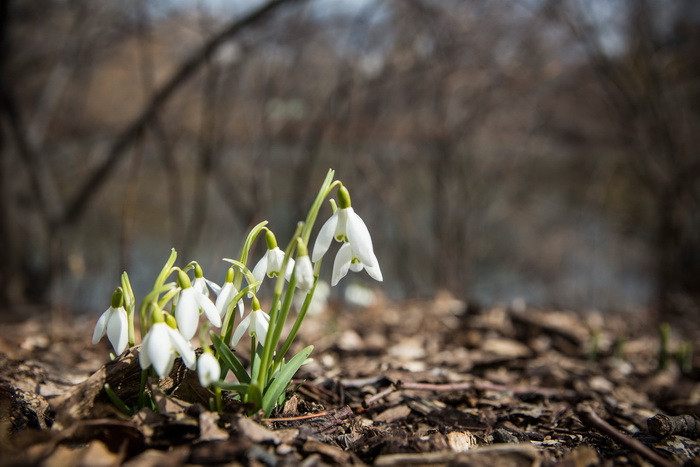 Vreme schimbatoare in toata tara, cu ploi slabe si temperaturi de pana la 13 grade. Prognoza meteo pentru perioada urmatoare