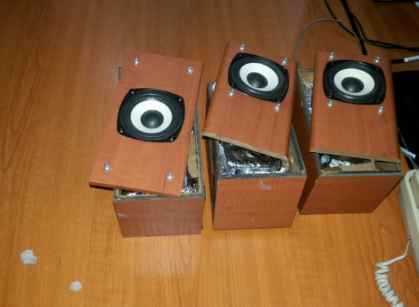 A vrut sa trimita un colet si le-a spus ca sunt boxe audio in el. Ce au gasit vamesii cand l-au deschis. FOTO