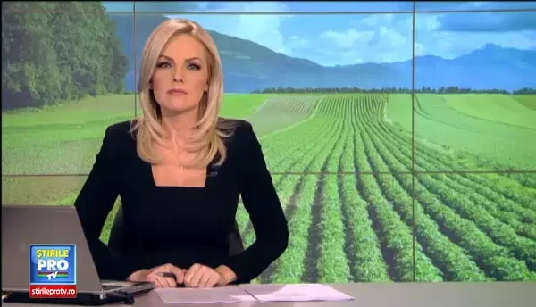 Noua afacere care prinde radacini si in Romania. Profitul pe care il scoate Horea Josan dintr-o fabrica de chipsuri bio