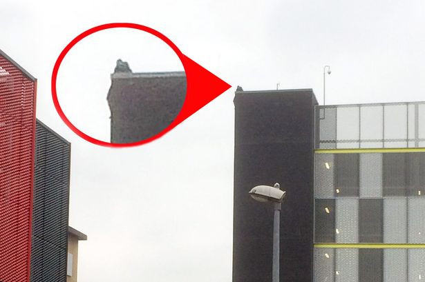 Sinucidere incurajata, in fata unui centru comercial britanic. Un barbat a sarit de pe o cladire, la indemnul privitorilor