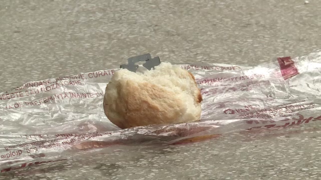 Primele masuri in cazul cornului cu lama de ras primit de o eleva. Distribuirea cornurilor, suspendata in judetul Arad