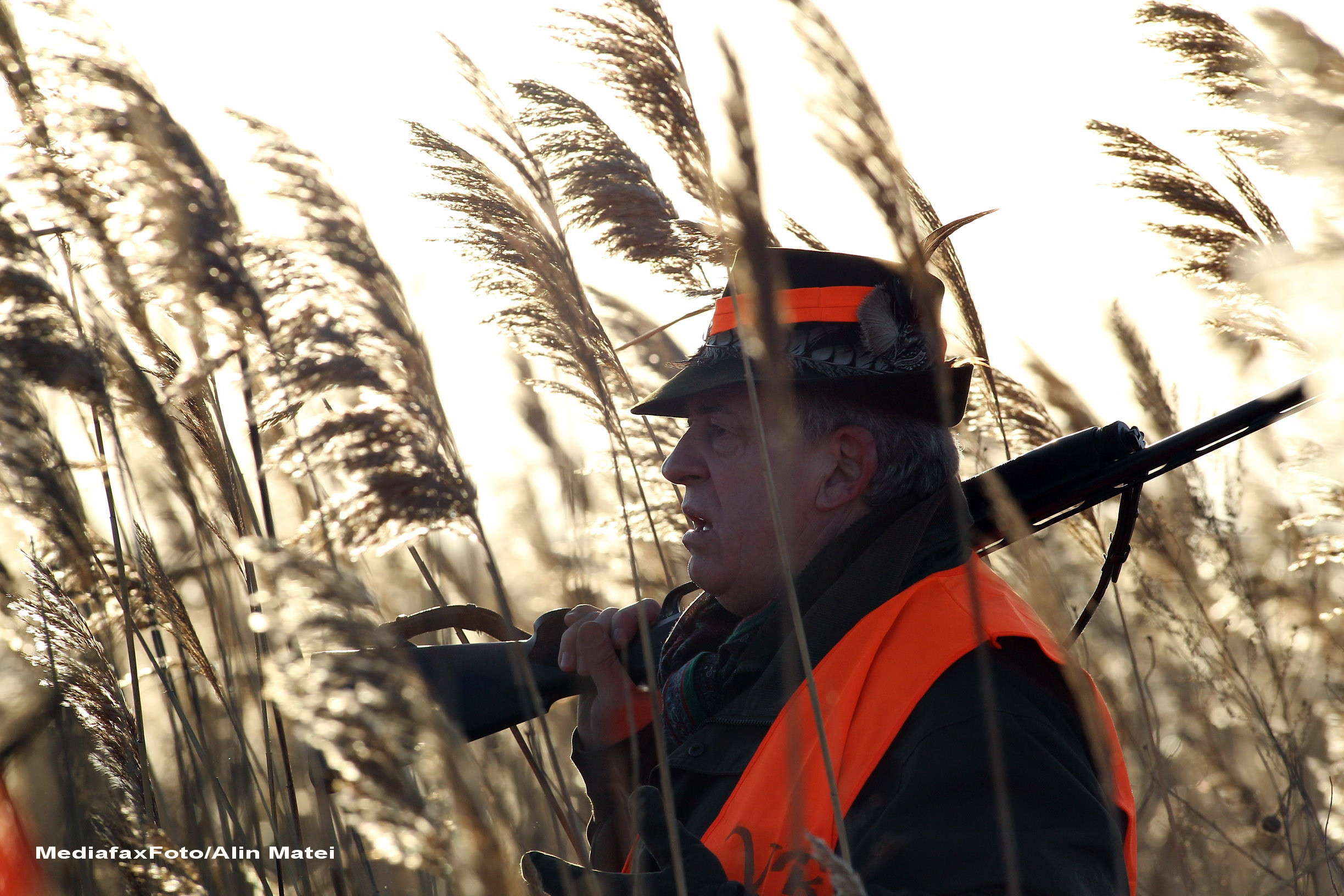 In Romania, protectia faunei se face "cu arma la ochi". SOR protesteaza fata de "parlamentarii vanatori"