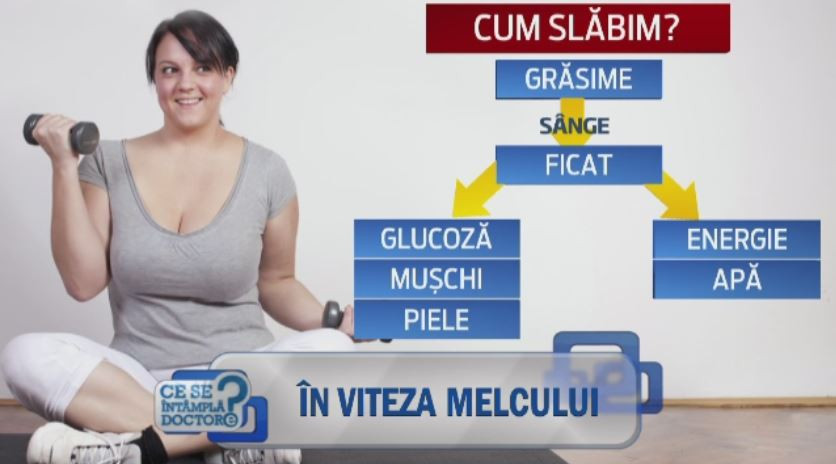 Metoda prin care slabim in mod corect si unde se duce grasimea. In cat timp se obisnuieste creierul cu o greutate noua