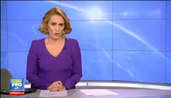 Mita pe care ar fi primit-o Elena Udrea, impartita intre PDL si postaci. Drumul valizei cu 900000 de euro, dupa confruntari