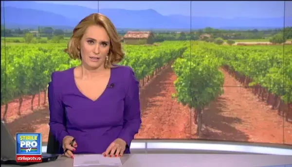 Consumul de vin spumant s-a triplat in Romania, in ultimii ani. Cum si cand se bea aceasta bautura