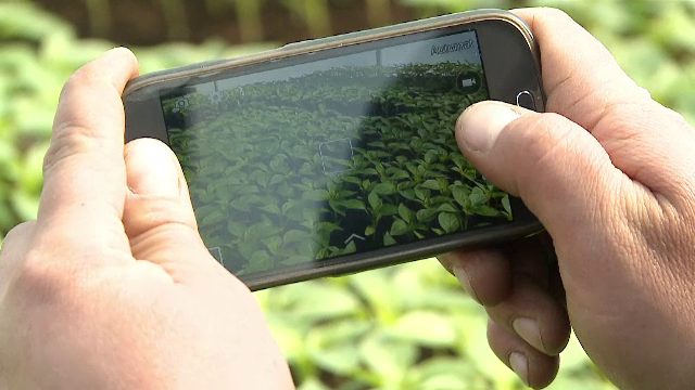 Agricultura cu sapa, aparat foto si Facebook. Povestile unor tineri romani care au ajuns sa castige si 6000 lei/lunar