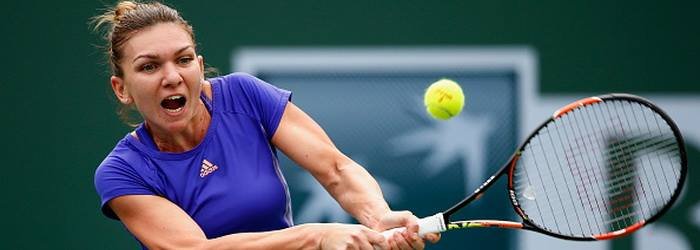 Halep cover
