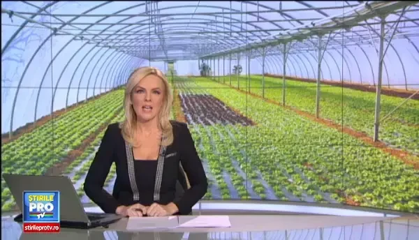 Agricultura cu sapa, aparat foto si Facebook. Povestile unor tineri agricultori care au ajuns sa castige si 6000 lei/lunar