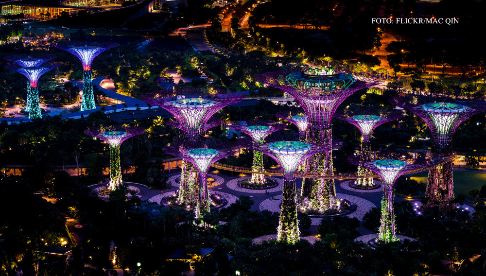 foto: pracul Gardens by the Bay din Singapore