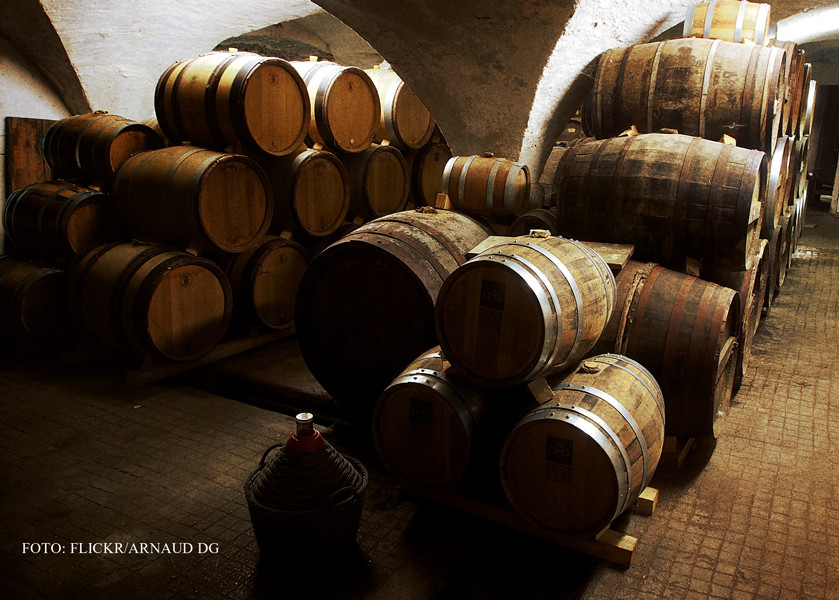 Problema lui Busu. O mostenire aproape imposibil de impartit intre trei fii