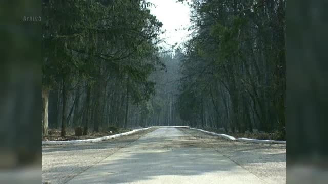 Traian Basescu s-ar putea muta la Scrovistea. Complexul a fost folosit doar de sefii de stat si ar avea cel mai pur aer