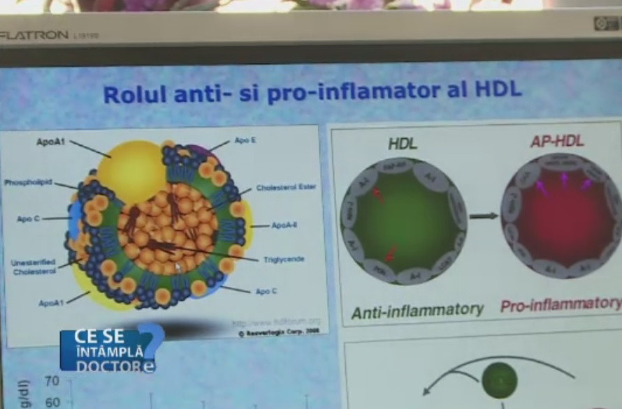 Defectele genetice pe care le mostenim de la bunici. Tratamentul recomandat de medici pentru a reduce riscul cardiovascular