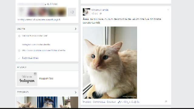 Bubu, Bila si Lentila - animalele de companie care au devenit staruri pe net. Fenomenul este abia la inceput in Romania