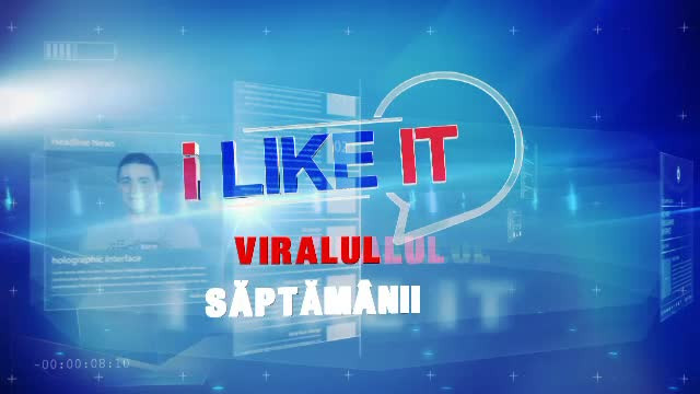 iLikeIT. Viralul saptamanii. Un caine este filmat in timpul dresajului cu ... 240 de cadre pe secunda