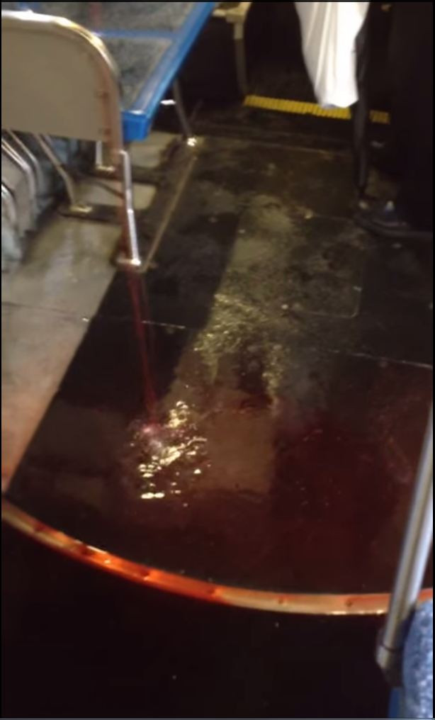 Scene de groaza intr-un autobuz din Canada. Ce era de fapt sangele care curgea din plafonul mijlocului de transport in comun