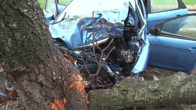 Tragedie in Tulcea. O femeie a murit dupa ce sotul ei a adormit la volan si a intrat intr-un copac, la cativa km de casa