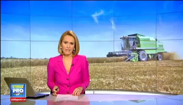 Viata mai buna decat a capsunarilor din Spania. Cat ajung sa castige in tara muncitorii sezonieri din agricultura