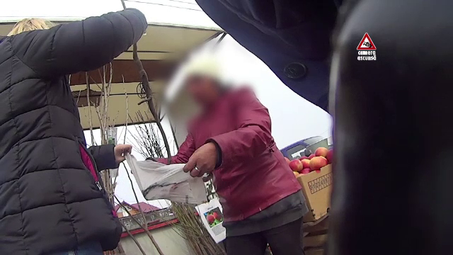 Camera ascunsa. Ce cumparati, de fapt, cand luati puieti de pomi fructiferi de la vanzatorii de pe marginea drumului