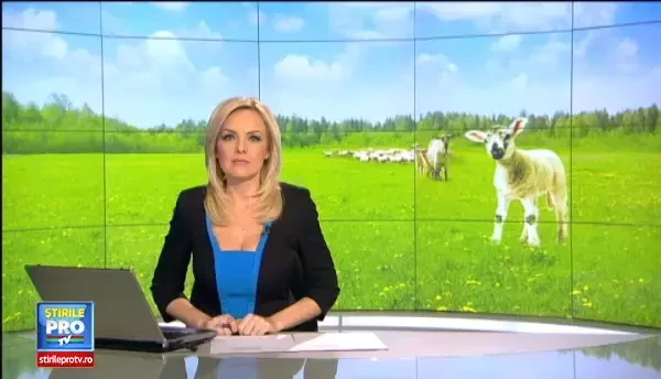 Are de 3 ori mai putin colesterol ca porcul si poate inlocui mielul de Paste. Carnea pe care tot mai multi romani o prefera