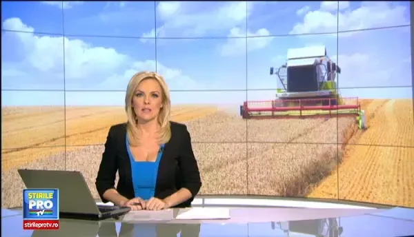 Paradoxul agriculturii din Romania. Fermierii au obtinut cea mai buna recolta din ultimul deceniu, dar mai putini bani