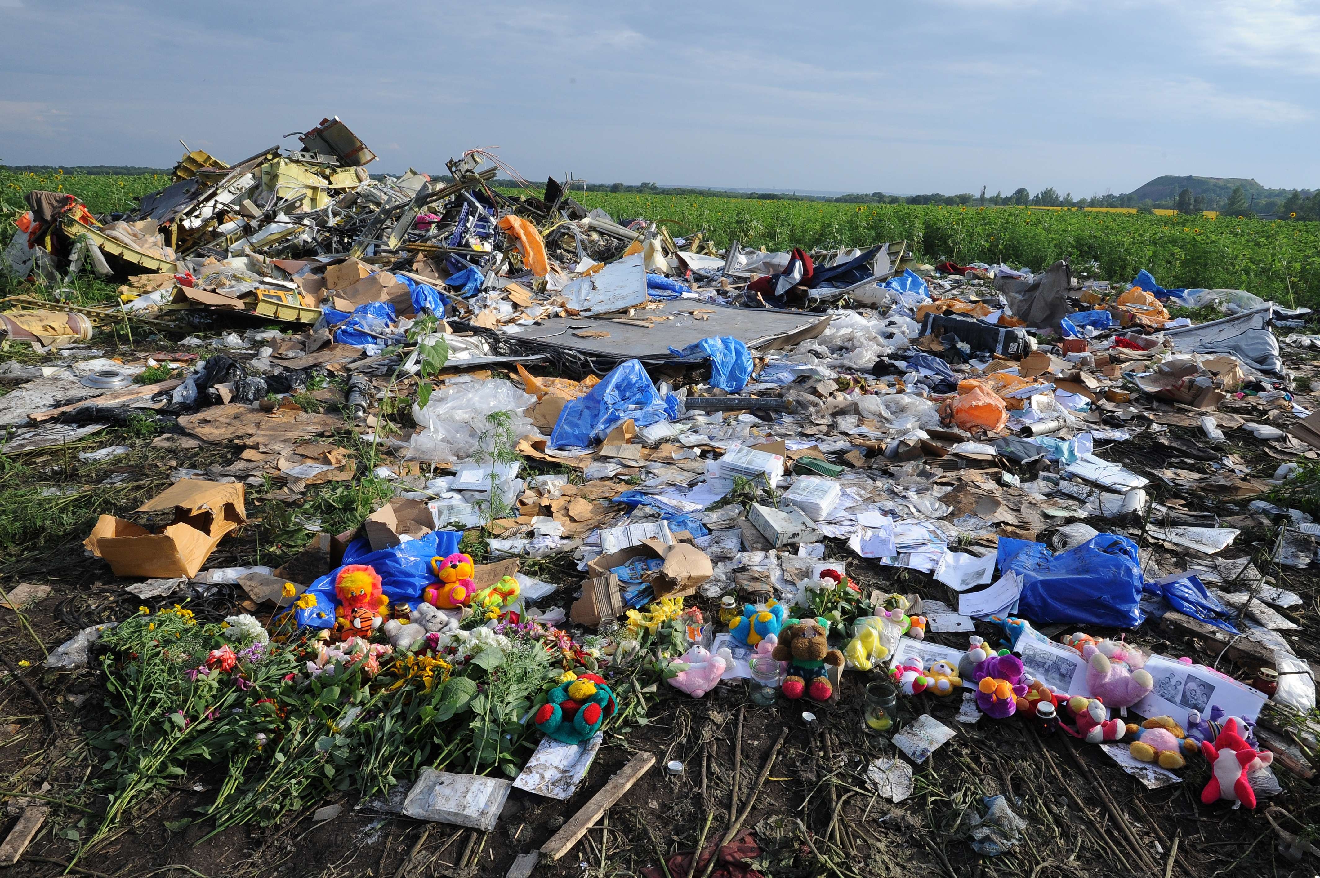 MH17