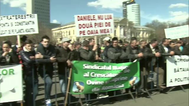Fermierii au protestat in fata Guvernului. Oamenii se tem ca noile masuri de la Agricultura i-ar putea scoate de pe piata